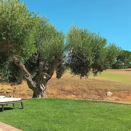 Casa Olivos *