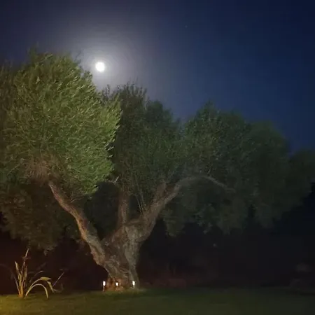 Σπίτι διακοπών Casa Olivos